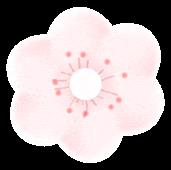 DƬ